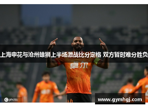 上海申花与沧州雄狮上半场激战比分定格 双方暂时难分胜负