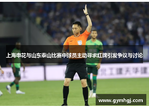 上海申花与山东泰山比赛中球员主动寻求红牌引发争议与讨论