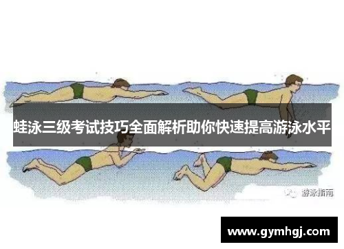 蛙泳三级考试技巧全面解析助你快速提高游泳水平